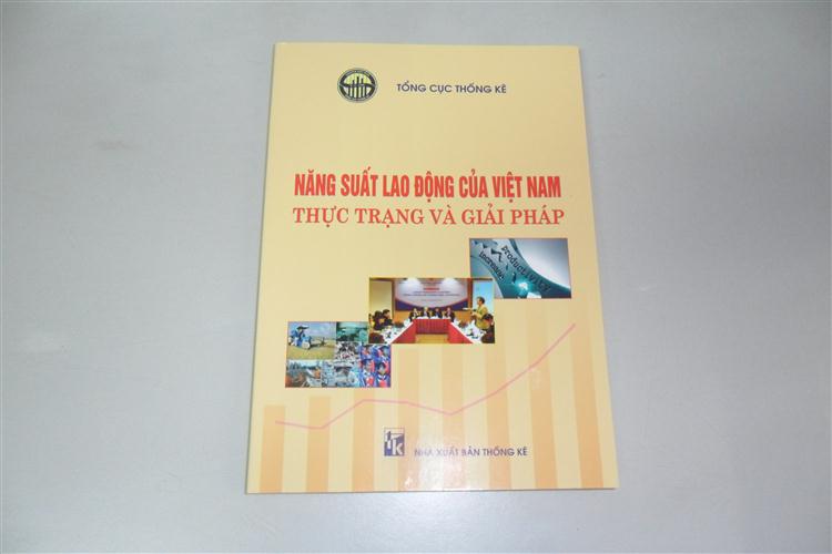 Năng suất lao động của Việt Nam: Thực trạng và giải pháp