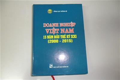 Doanh nghiệp Việt Nam 15 năm đầu thế kỷ XXI (2000 - 2015)